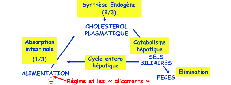 Cible des alicaments et du régime