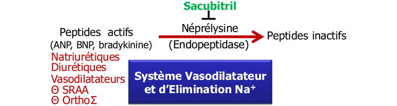 Inhibition de la NEP