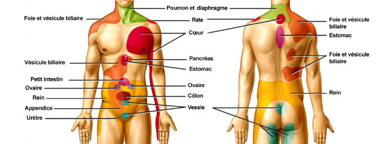 Douleurs projetées