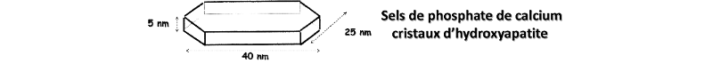 Cristal d’hydroxyapatite