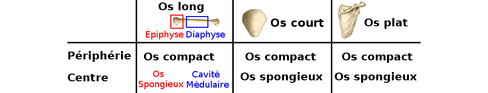 Types os