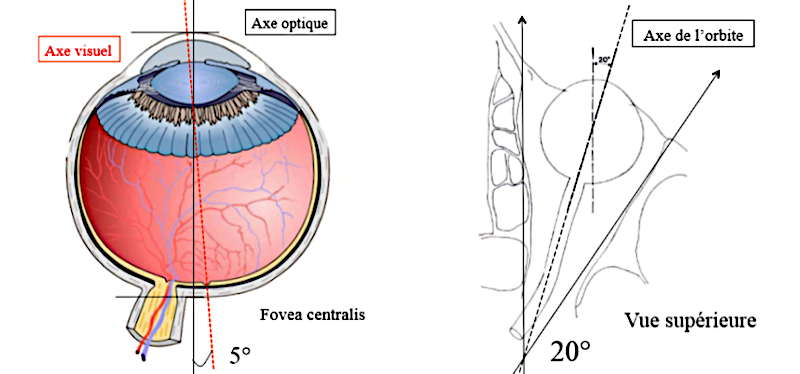 Les axes de l’œil